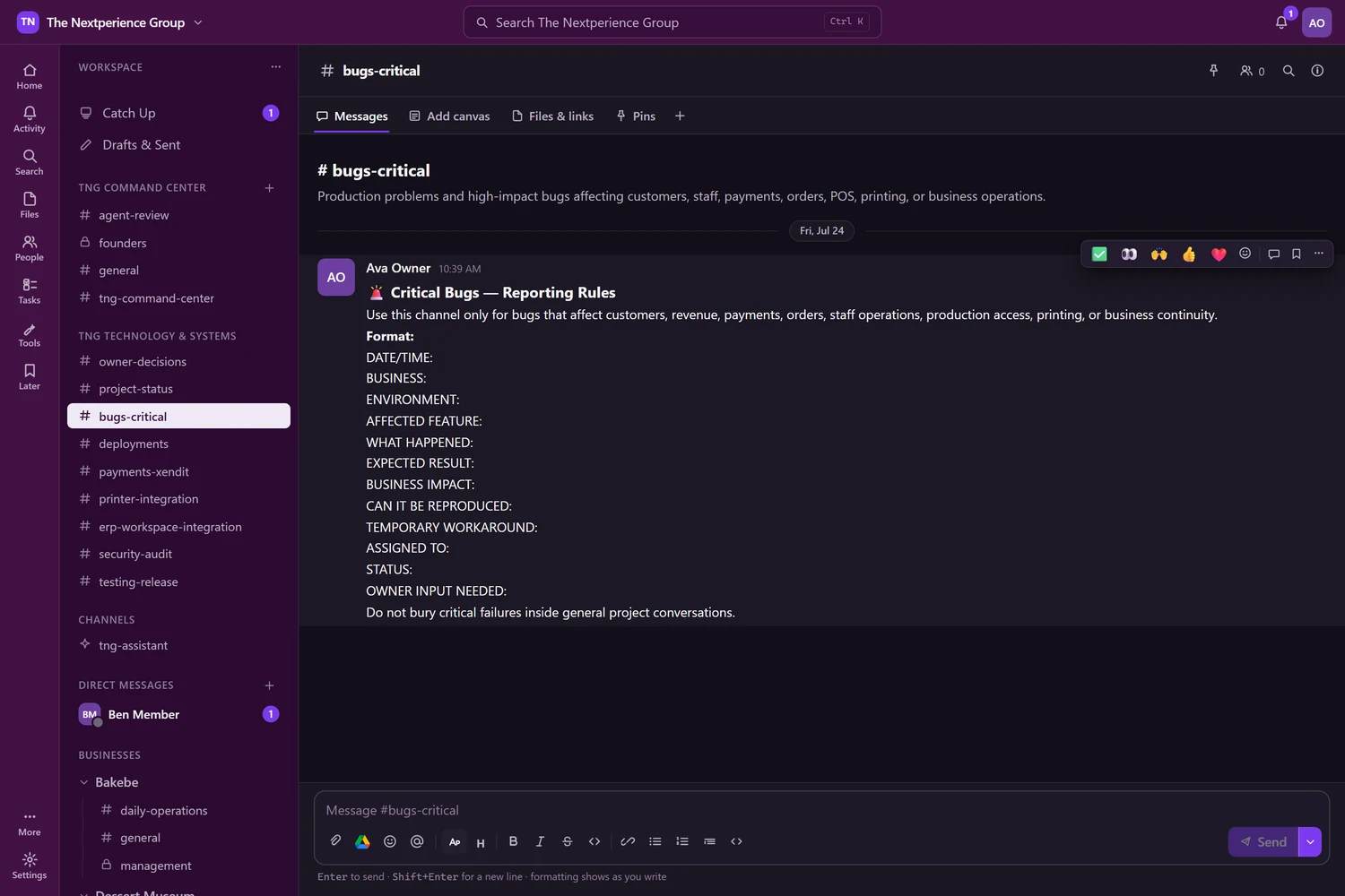 TNG Workspace bugs-critical channel with a pinned structured incident-report template covering date and time, business, environment, affected feature, business impact and status.